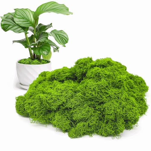 Fake Green Moss for Potted Plants Indoor, 10.6oz Artificial Moss for Crafts, Faux Moss Decor for Fairy Garden, DIY Decorative, Model Making, Walls, Glass Containers, Home