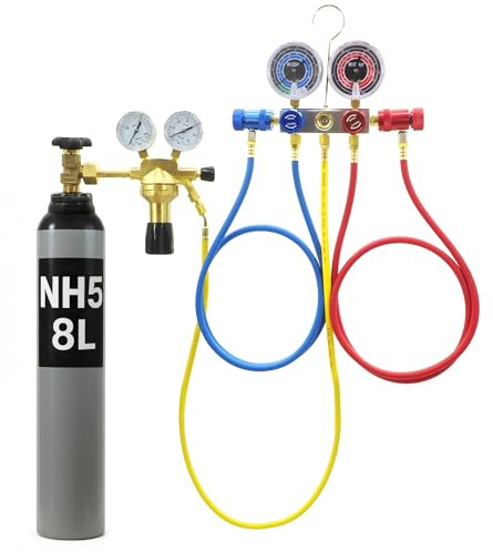 Vérificateur de perte de pression pour véhicule - Ensemble de test de vide avec manomètre pour air comprimé - Bouteille de gaz de protection NH5 8L/10L d'azote pour climatisation R1234YF - Manomètre 1