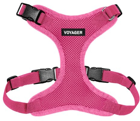 Voyager Step-In Lock husdjurssele – alla vädernät, justerbar stegg-i-sele för katter och hundar av Best Pet Supplies – fuchsia (matchande trim), L (byst: 48–76 cm)