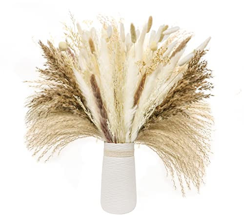 120 Stück Pampasgras Trockenblumen Deko, 12 Blumen für Vase, getrocknete Blumenarrangements für Zuhause, Hochzeit, Tischdekoration