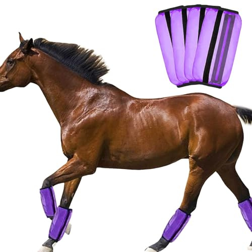 Lot de 4 housses anti-moustiques pour pattes de cheval, taille universelle, leggings en maille fine, bottes de mouche pour chevaux, leggings respirants, bandages de protection pour les jambes des
