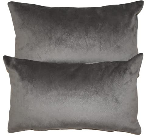 Dalicoco Cojines Sofá con Relleno Incluido, 2 Unidades De Cojines Terciopelo Gris para Salón, Cama Y Decoración Hogar. Fundas Y Rellenos 50x30.