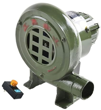 Pealihuy Souffleur de barbecue - Pompe de forge électrique, allume-feu pour barbecue, excitateur de flamme, château gonflable portable, pour château gonflable et toboggans 100 W