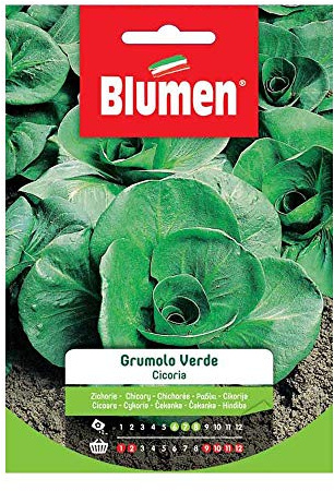 SEMI CICORIA TAGLIO GRUMOLO VERDE M BLUMEN