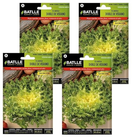 Semillas de escarola de verano de Semillas Batlle PACK (4)