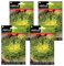 Semillas de escarola de verano de Semillas Batlle PACK (4)