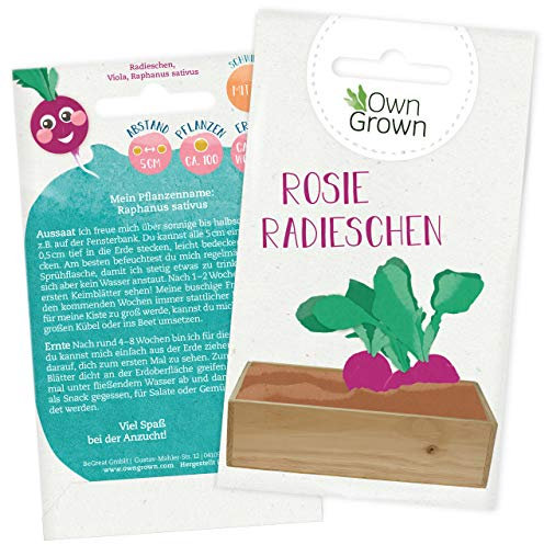 Radieschen Samen für ca 100 Pflanzen: Premium Radieschen Saatgut für Kinder und Erwachsene – Gemüse Samen – Rosie Radieschen Garten Pflanzen Saatgut für Kids – Garten Geschenke, Samen Gemüse OwnGrown
