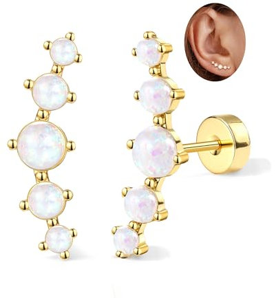 Adramata 2Pcs Helix Piercings Chirurgenstahl Ohrringe für Damen 16G Tragus Piercing Innengewinde Knorpel Ohrringe Ohrstecker Hypoallergen Piercing Ohr Tragus Conch Helix Piercing Gold Silber