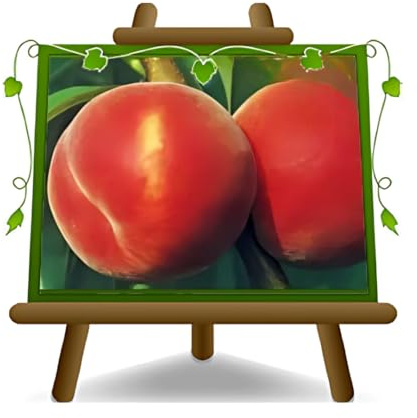EURO PLANTS VIVAI Pesco Pesche a Polpa Gialla Redhaven - Pianta da Frutto Antico su Vaso ø 20 cm - Altezza 150~170 cm - Età 2 Anni