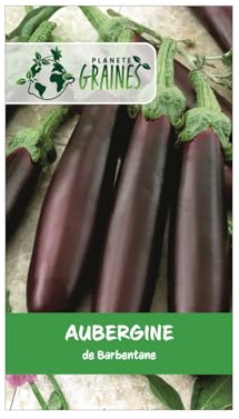 250 graines aubergine Violette de Barbentane