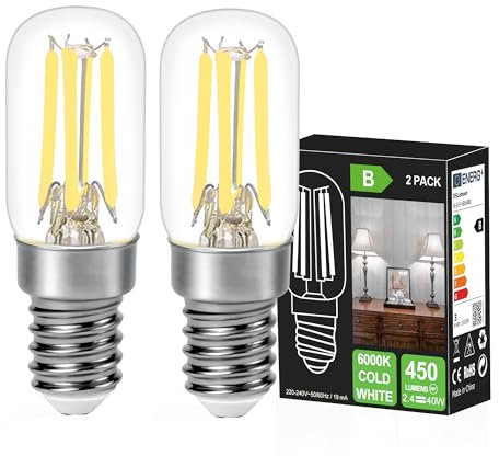 DSLebeen E14 LED Kaltweiß Glühbirne Tischlampen 2.4W 450LM Ersatz Glühlampe 40W, 6000K Mini LED Birnen für Nähmaschinelampe, Wandlampen,Salzlampe, Kronleuchter Nicht Dimmbar 2 Stück