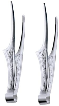 Cabilock 2pièces Pinces à Barbecue Inoxydable Lot Pour Cuisine Extérieure Pinces à Steak Arrondies Sans Bavures
