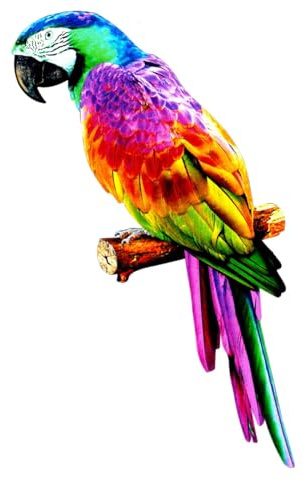 DEARBIRDER Grande sculpture murale d'extérieur en métal de 38 cm de couleur vive à suspendre pour la maison, le salon, le jardin, la terrasse, statue d'oiseau tropical réaliste