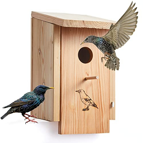 Woid Herz Premium Nistkasten (N45) Vogelhaus für Star - aus witterungsbeständigen 18mm starken bayrischem Lerchenholz mit 45mm Einflugloch und Sitzstange von Welcher der Star Seine Familie füttert