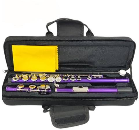 tvärflöjt instrument Professionell flöjt 16 stängda hål C nyckelinstrument