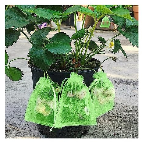 Imballaggio della frutta, Sacchi for la coltivazione di piante, in tessuto non , for protezione della frutta, for uva, verdure, mele, borsa a rete, accessori da giardino, attrezzi(10x15cm (50Pcs))