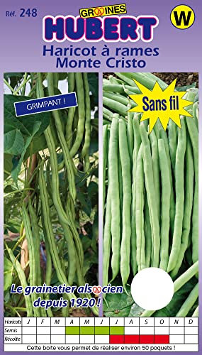 Graines de Haricot beurre à rames Monte Cristo - 125 grammes