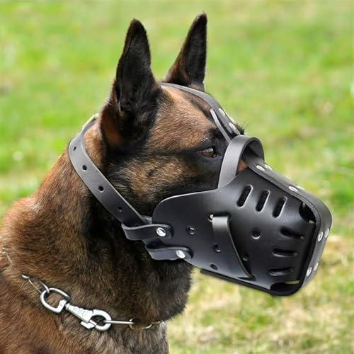 Maulkorb für Deutschen Schäferhund Malinois, Leder-Mundschutz zum Beißen, Kauen, Fellpflege, verstellbar, atmungsaktiv, für mittelgroße und große Hunde, schwarz, Halsumfang – 35 x 50 cm