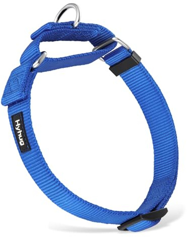 Hyhug Martingale Dog Collars for Medium Dogs, Blue, Escape Proof | Heavy-duty no-pull nylon, secure fit for active dogs. Great for training walks and park outings. Durable & easy adjust