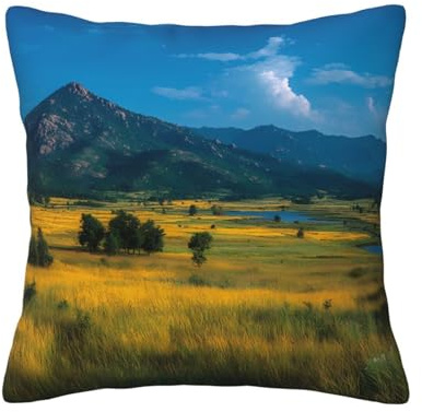Jzslmj 20 in X 20 in Pillowcase Soft Skin-Friendly Double-Sided Endless Prairie Patterns with Zipper for Sofa Backrest Bedroom