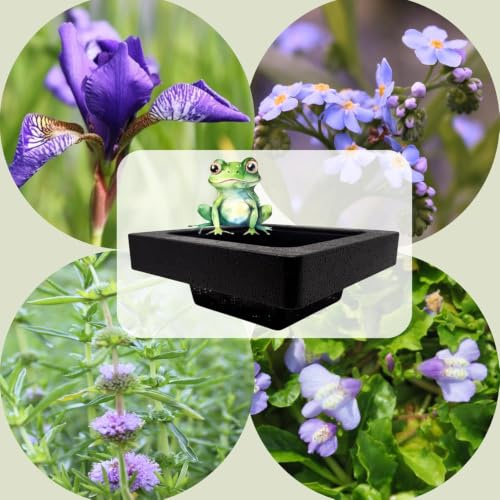 WASSERPFLANZEN WOLFF - FROG-ISLAND blauviolett- SCHWIMMINSEL inklusive Pflanzen - REIHERSCHUTZ - 4er-Mix mit Pflanzinsel - QUALITÄTSSTAUDEN im Pflanzkorb - Frosch-Insel für Gartenteich
