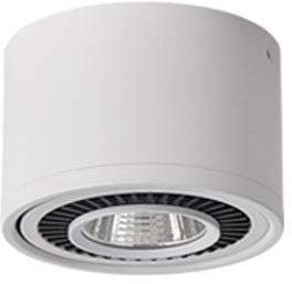 OZZKI Recessed Led Surface Mounted Spotlight Ceiling Lamp Single Spotlight Adjustable Cob Ceiling Lamp Guest Exhibition Hall Lamp Aisle Porch Background Wall Small Spotlight Integrated