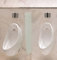 Schön und Wieder Urinal Schamwand | WC Trennwand | Bidet Trennwand | Toiletten Trennwand | ESG Glas Variante B, Geschliffen | Nanobeschichtet mit Lotuseffekt