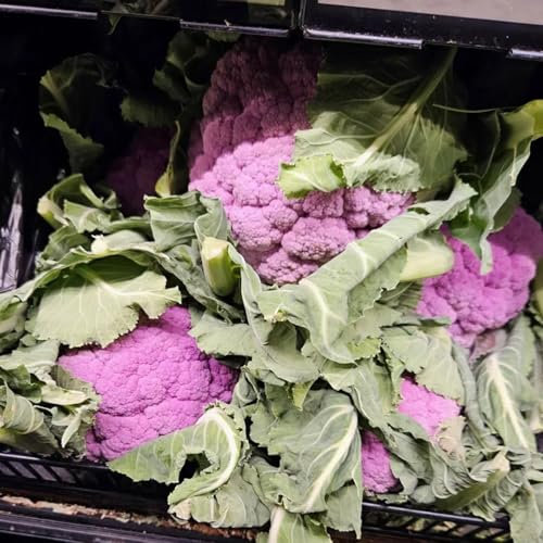 blumenkohl samen - blumenkohlsamen - grünpflanzen zimmerpflanzen, balkon gemüse winterblumenkohl wintergemüse winterharte pflanzen für garten zimmerpflanzen samen, gemüsesamen balkon 350pcs