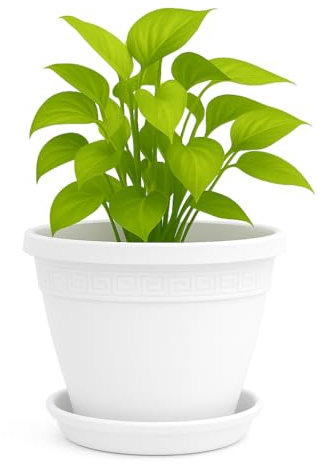 TECHZOCO Macetero con Plato, Maceta Redonda clásica de plástico con Plato, Tiesto para Plantas, Fabricado en Polipropileno, 15 cm Altura x 20 cm Diámetro Superior x 11 cm Diámetro Base, Blanco.