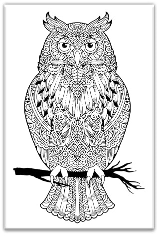 Owl Adult Coloring, Stretched primed canvas to color, Size – 8 x 12 Inches