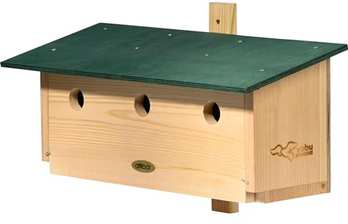 dobar® VOBU - Caja Nido Especial de Madera para gorriones - 3 en 1 Ayuda para Nido de Cuevas para gorriones - con Tapa de Limpieza - Pino - 50 x 22 x 30 cm - Verde