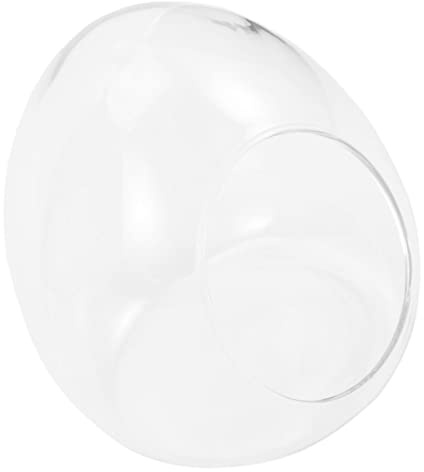 Toddmomy Bouteille Oeuf pour Micro Conteneur DIY pour Plantes Mousse Décoration de Terrarium