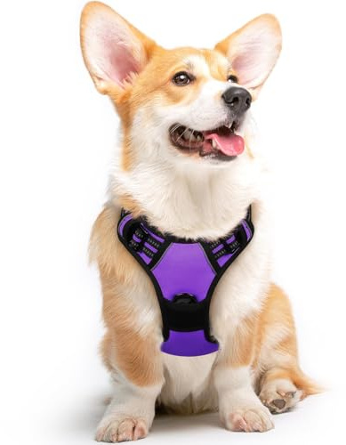 Eagloo Harnais Chien, Harnais Anti Traction pour Chien, Violet, M