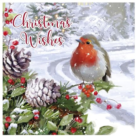 Eurowrap Pack of 12 Assorted Christmas Cards Xmas Traditional Robin, 2 Designs Season Greetings and Christmas Wishes Eco Friendly Packaging 100% Recyclable