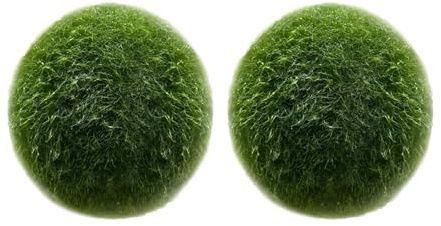 LuckyOpt Lot de 2 boules d'algues vertes naturelles pour aquarium, décorées de boules d'algues vertes (L)