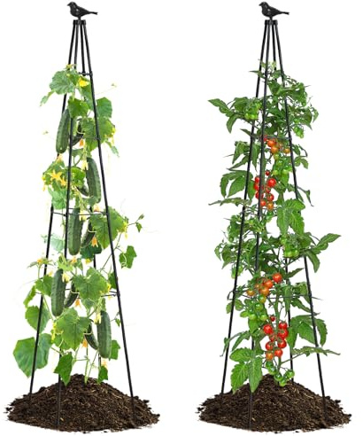 OTOSUNNY Garden Trellis for Climbing Plants Outdoor, 67 Tall Metal Obelisk Trellis Climbing Plants Support for Vegetable|Flower|Vine, Tomato, Peas, Beans, Cucumber, Lightweight, 2 Pack