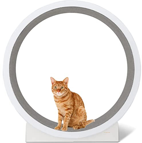 BCJMKDX Rueda para Gatos. Cinta de Correr, Rueda la Fortuna, Muebles for Mascotas, Tablero rascador for Gatos, Juguete Giratorio for for pequeñas y Medianas, Ejercicio en Interiores