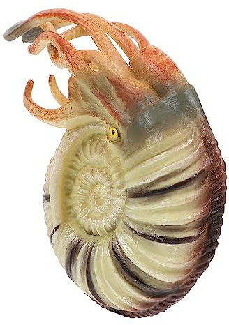 BESTonZON Animal Model Toys Seaside Ornaments Ocean Creatures Plastic Sea Creatures for Fish Tank Decor