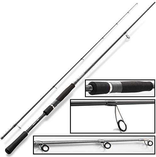 Hearty Rise 962 MH Black Force 2,91m 14-56g - Spinnrute zum Spinnangeln im Süßwasser & Salzwasser, Zanderrute, Hechtrute, Blinkerrute für Dorsch