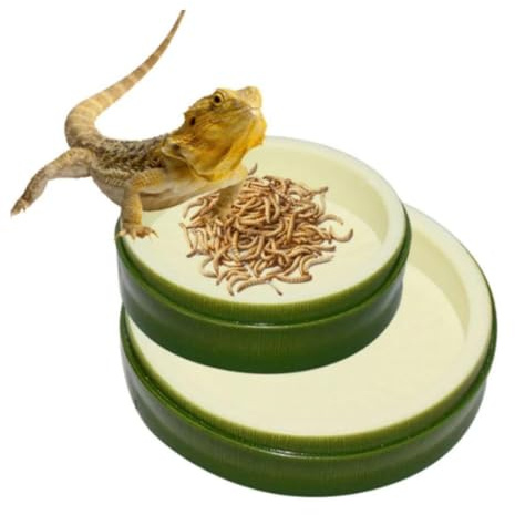 Ciotola per acqua e cibo per rettili, 2 pezzi abbeveratoio per tartarughe di terra, Criceto Ciotola per Gatti Piatto di Cibo da Roditori Ciotola Dacqua per Cavia, Porcellino, lucertole, criceti