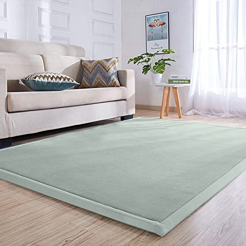 Loartee Teppich Für Kinderzimmer,als Krabbeldecke fürs Kind,3cm Dicker korallenrote Samtmatte Kinderteppich