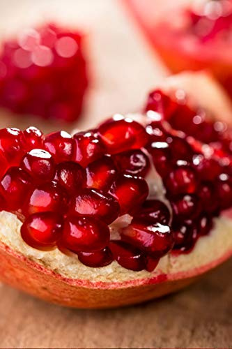 Albero di Melograno pianta di melograno già innestato varietà Wonderful Età 2 anni pianta in vaso di melagrana pianta vera di melagrana venduta da eGarden.store