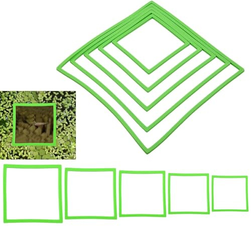 Anillo de alimento para acuario, anillo de alimentación para acuarios, anillos cuadrados flotantes para plantas para acuarios | 5 tamaños, 10 anillos de alimentación para peces, corral flotante para