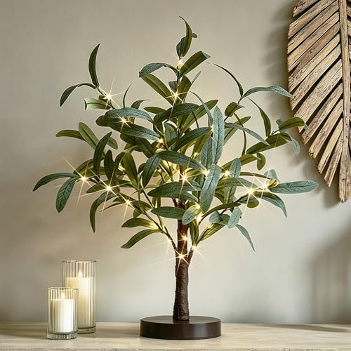 Hairui Lighted Small Olive Tree Battery Operated or USB 18in 50 Warm White LED with Timer, Light Up Table Top Artificial Greenery Tree with Fairy Lights for Wedding Holiday Home Christmas Decoration