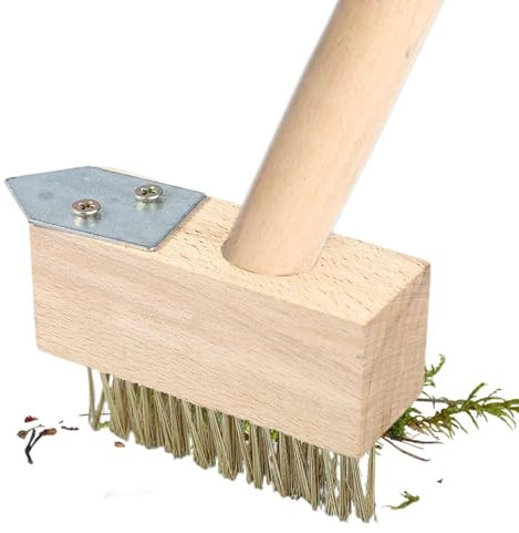 Qumiuu Outil d'élimination de la Mousse pour pavés, Brosse pour pavés, Brosse métallique de désherbage, Outil de Retrait de coulis, Angle Multifonctionnel de 45 degrés, désherbage Manuel pour Jardin