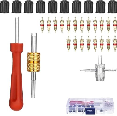 Outil d'agrafage de noyau de valve, outil de retrait de noyau de valve, extracteur de noyau de valve à tête unique, outil de retrait de métal pour voiture, moto, camion, etc. Outil de retrait