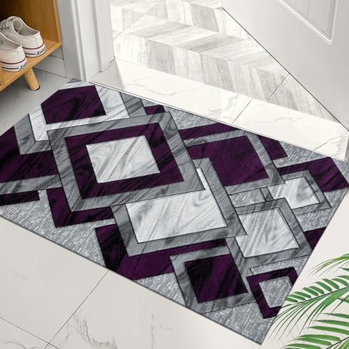 Cozy Haven Vortex Door Mat – Non-Slip Washable Doormat, Heavy Duty Welcome Dirt Trapper, Water Absorbent Floor Mat for Indoor/Outdoor Use, Front Entrance and Kitchen (Purple, 50x80 cm)