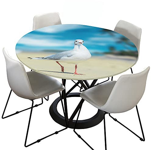 Morbuy Rund Tischdecke Elastisch, Möwe Drucken Rund Tischdecken Wasserdicht Lotuseffekt Abwaschbar Abwischbar Tischtuch für Garten Outdoor Küchentisch (Für Tisch 100-110 cm,schöner Vogel)