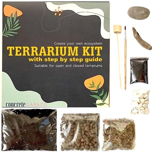 Kit de Terrarium pour Plantes succulentes et Cactus avec Guide étape par étape Comprenant Sol, Mousse de sphaigne, Bois flotté et Plus, Petit