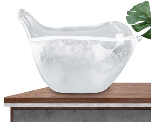 Predictor Meteorológico Storm Glass, con de Pájaro - Estación Meteorológica de Escritorio para Decoraciones de Mesa